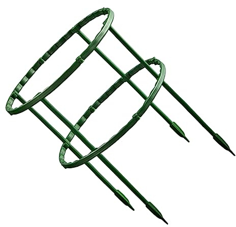 AKOOSY Diy Plant Support Cage and Ring for Climbing Plants 25cm Double-layer Spliceable for Crab Cactus and Greenhouse Vines
