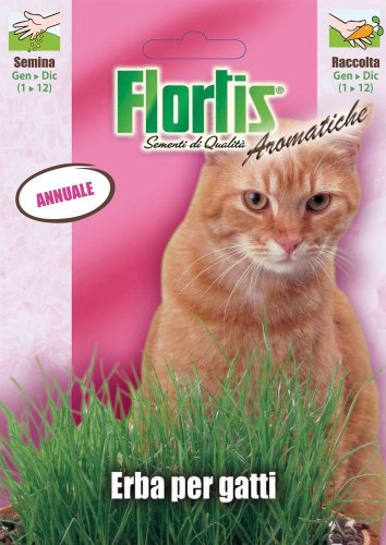 Kräutersamen - Katzengras von Flortis