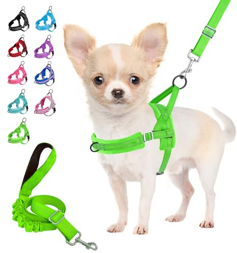 Eyein Hundegeschirr mit Leine für mittelgroße Kleine Hunde, Weich gepolsterter No-Pull Brustgeschirr mit 2 Leinenclips, Leichtgewicht Reflektierend Geschirr Hals und Brust verstellbar (Grün, S)