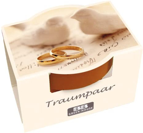 Bull & Bear Mini Pflanzset ' Mr & Mrs' mit Blumensamen im Topf 4,5cm, Bunte Blumen als Anzuchtset mit Pflegeanleitung