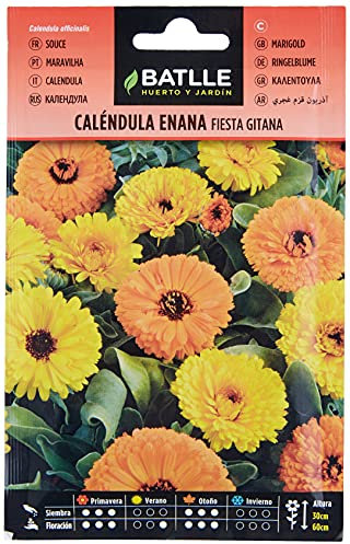 Semillas Batlle Calendula Nano Fiesta Gitana
