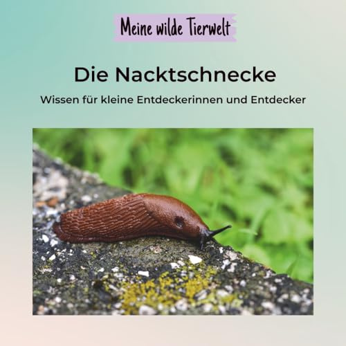 Meine wilde Tierwelt - Die Nacktschnecke: Von Schleimspuren, Fühlern & kleinen Helden – Naturwissen für Kinder