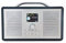 ALANO FM/Dab+ Radio/Bluetooth/AUX in Radio, tragbar, Holzfarbe, mit 2,4 TFT-Farbdisplay und Dual-Alarm-Modus, DAB Radio mit Retro-Design für Garten und Küche (schwarz)