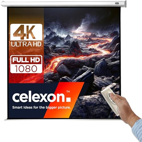 celexon Economy Motor-Leinwand 135 | 240x240 cm 1:1 | elektrische 4K, Full-HD Beamer-Leinwand für Büro-Präsentationen & Heimkino | Wand- & Deckenmontage | inkl. Fernbedienung