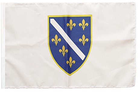 Flaggenfritze® Flagge Bosnien alt 1992-1998 - 30 x 45 cm