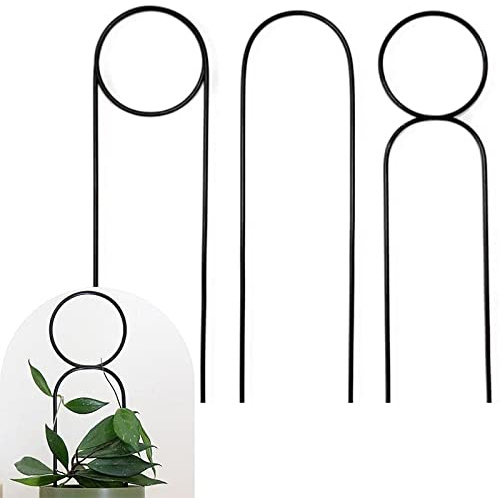JFBUCF 3 Stück kleine Metallspaliere für Topfpflanzen, U-Hoops, Gartenspalier für Kletterpflanzen im Innenbereich, Pflanzenstützpfahl, Rankhilfe für Rosenranken, Zimmerpflanzen