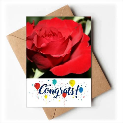 Rote große Rosen Blumen Hochzeitskarten Glückwunsch Gruß Umschläge