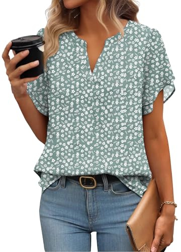 Zeagoo Womens Tops Summer Chiffon Blouse Ruffle Short Sleeve Shirts | V Neck | Work Blouses | Business Casual | Double Mesh Blouse | Floral Tunic Top | S-XXL