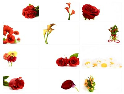 ShredAstic®️ 12 qty MIXED red yellow mix BLANK FLORIST MESSAGE CARDS hampers occasions small 60x90mm