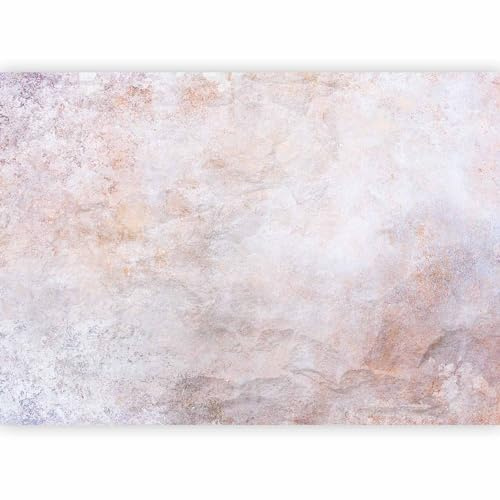 murando - Carta da Parati Adesiva Moderna, Calcestruzzo, 441x315 cm