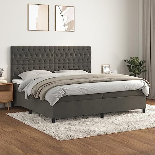CKioict Palettenbett Modernes Bettgestell Jugendbett Boxspringbett mit Matratze Dunkelgrau 200x200 cm SamtGeeignet für Arbeitszimmer, Wohnzimmer, Hotel