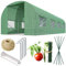 Plonos Serra a tunnel con telaio in acciaio, set con supporto per piante, 2,5 x 4 x 2 m, 10 m², verde