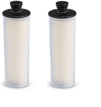 Steam Cleaner Descaling and Cleaning Filter Rod for SC2 for SC2 for SC3 Additional Upright Models Plastic Accessory for Effective Mineral Removal Home(2 pcs)