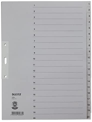 Leitz Papierregister 1-20, A4, Papier, 20 Blatt, grau
