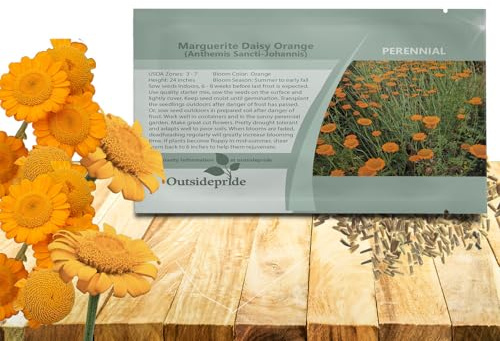 Outsidepride Orange Marguerite Daisy Seeds - 10000 Pcs. Perennial Drought-Tolerant & Pollinator-Friendly, Flower Seeds for Planting Vibrant Blooms for Gardens, Borders & Cut Flowers