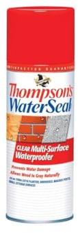 Thompson's Waterseal Clear Water-Based Multi-Surface Waterproofer 12 Oz. - Case of: 1