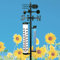 Wetterstation, 4 Funktionen , analoge Erfassung