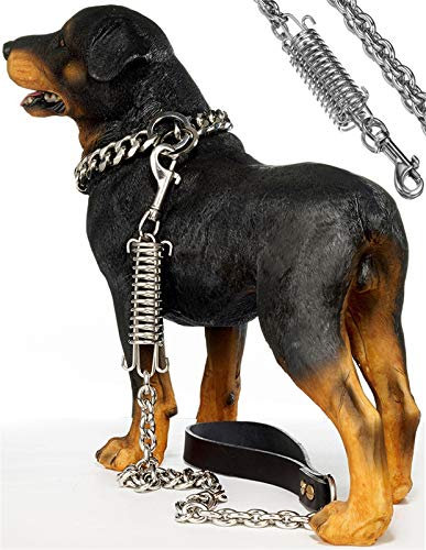 DHGTEP Hundeleine Seil mit Schockabsorbierender Feder Edelstahl Ausziehbare Leinen Schockpuffer Feder Starke Hundeleinen für Mittlere Große Hunde (Color : Silver, Size : 100x1.5cm)