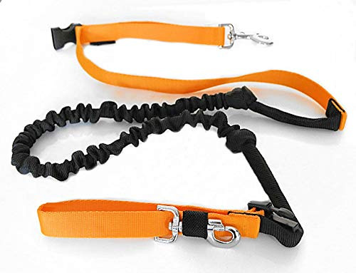 Laisse Canicross Mains Libres Professionnel - Amortisseur rétractable Extensible 2,5m: Jogging, Ski-joëring. Reinventons la Promenade avec Le Chien. (M: 20-30 kg, Jaune)