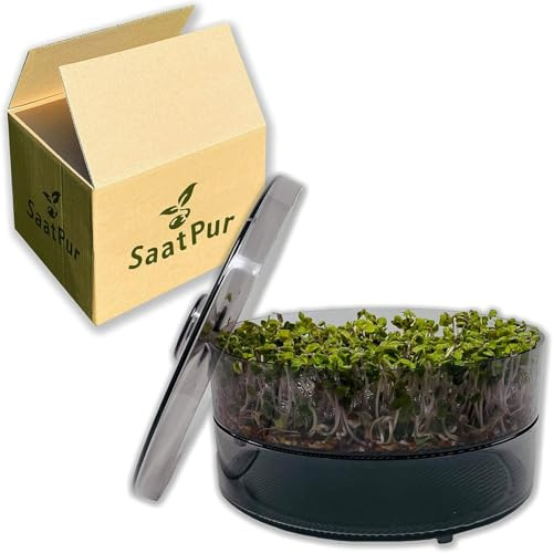 Saatzucht Bardowick KeisProuserbox Set 1 med en flottör som en grodd grodd: groddande groddar och mikrogreer som odlar skal. Germbox, Germ Bowl, Germ Box, Sprout Box, Sprout House, Gerimination Unit