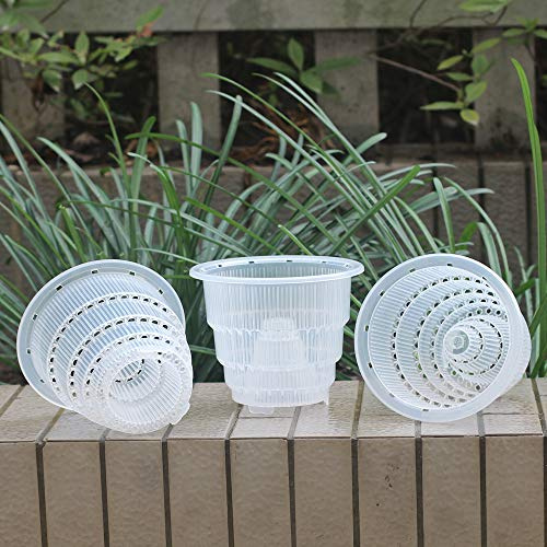 Meshpot 12 cm Transparent Plastique Pot à orchidée avec Trous - 3 Pièces