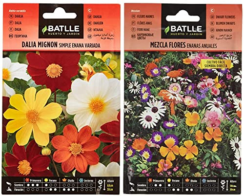 Semillas Batlle Dalia Mignon Simple enana vda. & Mezcla Flores ENANAS anuales, Multicolor