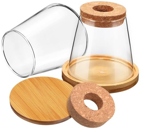 TOBBOMEY 2 pièces Station de Propagation Hydroponique pour Plantes Vases Verre Transparent avec Support Pots de Bouturage Compacts pour Intérieur Bureau et Appartement