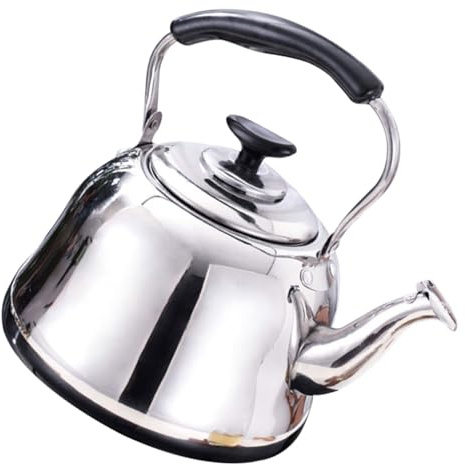 SHINEOFI Bouilloire Sifflante Inox avec Passoire Amovible et Poignée Anti-brûlure Capacité Spacieuse pour Infusion de Thé Facile à Nettoyer et Verser Design Élégant pour Cuisine Moderne
