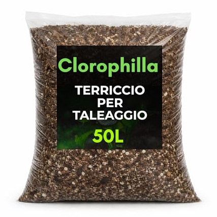 Terriccio Professionale per Taleaggio e Radicazione – Mix Drenante e Arieggiato con Torba Fine, Fibra di Cocco e Pomice 2–4 mm (50 Litri)