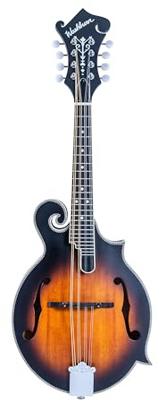 Washburn M3SEBRK F style Mandolin Brown Burst with Gig Bag