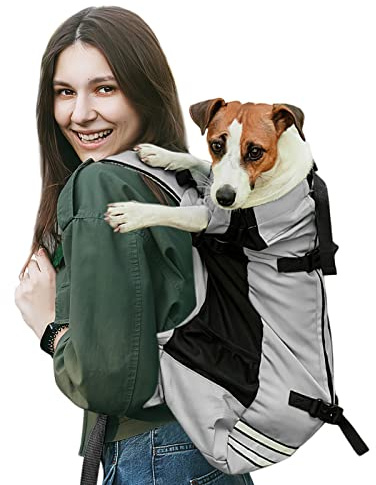 Galatée Hunderucksack, Verstellbarer Hunderucksack Für Kleine Und Mittelgroße Hunde, Einfach Zu Transportieren, Haustierrucksack für Spaziergänge im Freien, Wandern, Bergsteigen, Reisen(M, Grau)