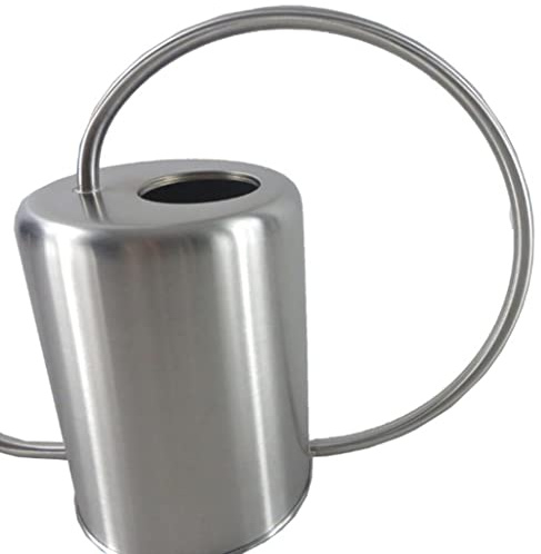 Für Sukkulenten und Zimmerpflanzen: Silberne Gießkanne im Retro-Design, 2,0 l Edelstahltopf mit langem Auslauf, perfekt für Kinder, Innen- und Außenbereich, großer Gießtopf für