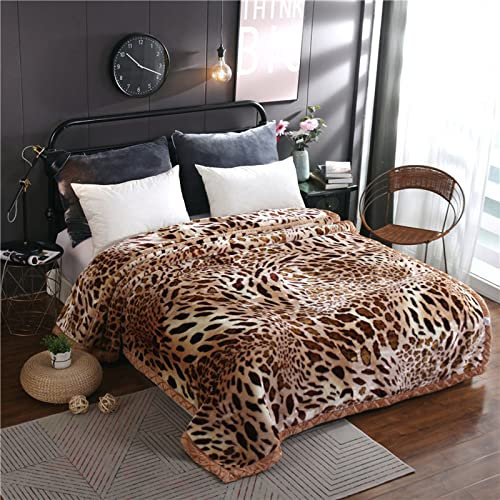 XZZHSM Warme Gewichtsdecke für den Winter, Kingsize, koreanische Nerzdecken, 2-lagige, wendbare Raschel-Bettdecke für Bett und Couch, H, 200 x 230 cm, 4 kg