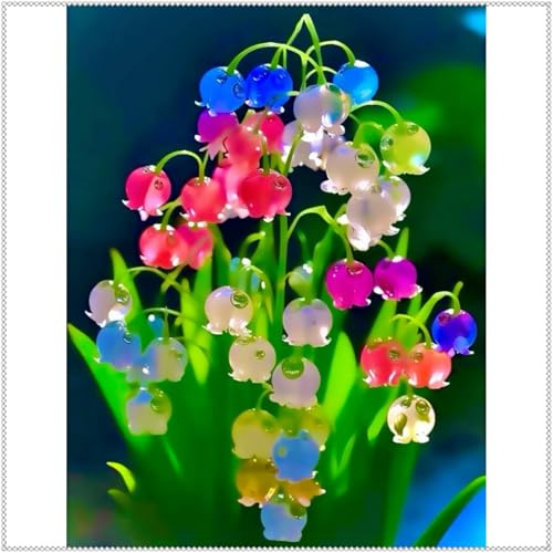 Rizomas Lirio de los Valles Perenne Magic Garden- plantables en primavera y otoño- aptos para interiores y exteriores-10 Rizomas-E