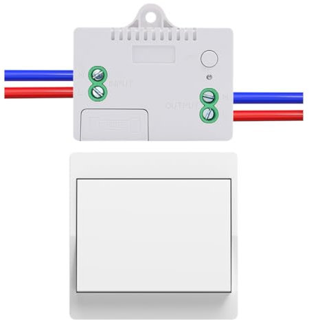 Cerhot EU Self Powered Wireless Light Switch Kit Remote Light Switches Wireless No Wiring No Battery Kinetic Light Switch Wireless Radio Wall Switches For Home Lighting (EU 1Gang 1V1 A）