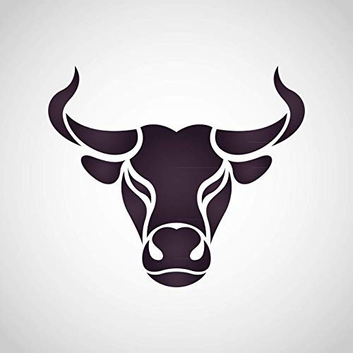 5 Kg Taurin – rein/ohne Zusatzstoffe | Pulver | konditionell-essentielle Aminosäure | Nahrungsergänzungsmittel Sport | vegane Nutrition | Buxtrade