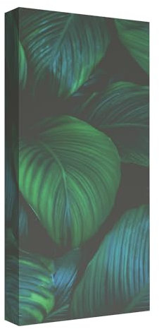 Addictive Sound Akustikpaneele - Akustikplatten und Schallabsorber mit Grafiken - Acoustic Panel Wand - Akustikelemente Bild mit den Maßen 100x50x11 cm - Akustikpaneel Absorber - Nature_2