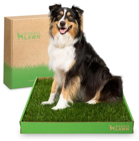 DoggieLawn Real Grass Puppy Pee Pads- 24 x 24 Inches - Perfect Indoor Litter Box for Dogs - No Mess, Easy-to-Use - Potty Training for Pets - Eco-Friendly Disposable Bathroom with Real Living Grass