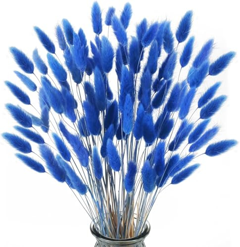 FALSKT 120 Pcs Natürliche Trockenblumen Blau Pampasgras Getrocknet Blumen | Getrocknetes Pampasgras Klein Blau Schilfgras für Hochzeit Hause Party Wedding Fotografie Vase Deko