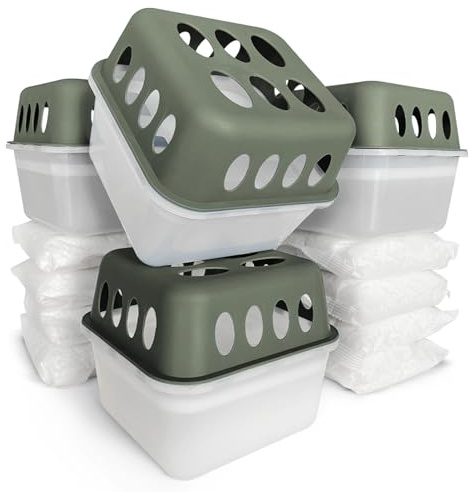 Floordirekt 4 deumidificatori con 8 sacchetti di ricarica da 400 g, in granulato, ricaricabili e riutilizzabili (verde, HAVA)