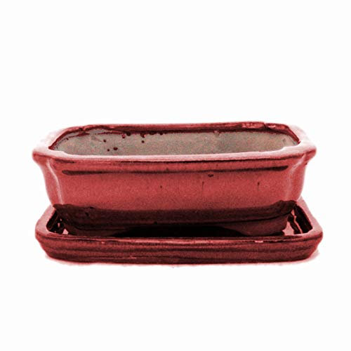exotenherz Bonsai-Schale mit Unterteller Gr. 2 - Rot - rechteckig - Modell G12 - L 15,5cm - B 12cm - H 4,5cm
