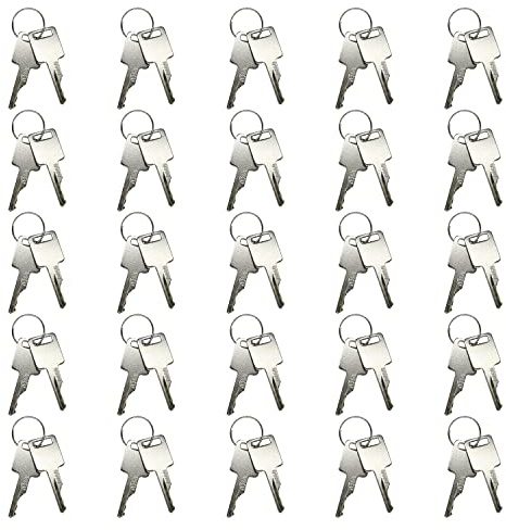 Disenparts 6693241 50Pcs Clé de Contact 6709527 A77313 Compatible avec Bobcat Mini Pelle 320 322 323 325 328 329 331 Dérapage Steer Loader S450 S510 S530 S550 S570 S590 S630 S650 S750