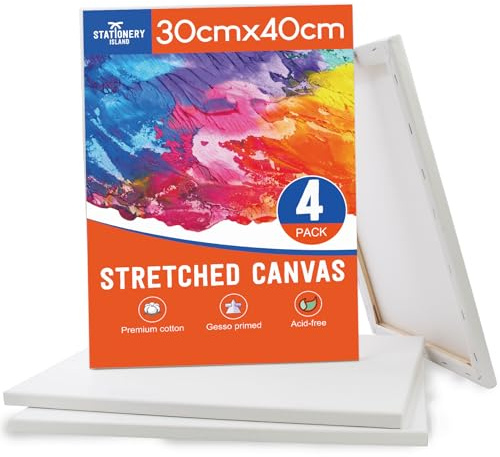 STATIONERY ISLAND 4 Pack Stretched Canvas 30x40cm, A3 Canvas for Painting 100% Cotton Acid Free Professional Art Canvases for Acrylic Oil Gouache Watercolour(12“ X 16”)