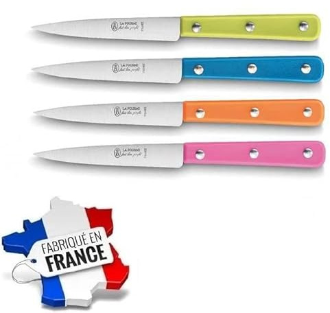 SEBBA - LOT DE 4 COUTEAUX OFFICE LAME INOX 10 CM, MANCHE ABS COULEURS, VERT, BLEU, ORANGE, ROSE - 3 RIVETS - FABRICATION FRANÇAISE THIERS - USTENSILE DE CUISINE - RÉF 10061
