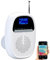 Radio DAB+/FM de salle de bain avec bluetooth 5.0 MPS-810.bt [VR-Radio]