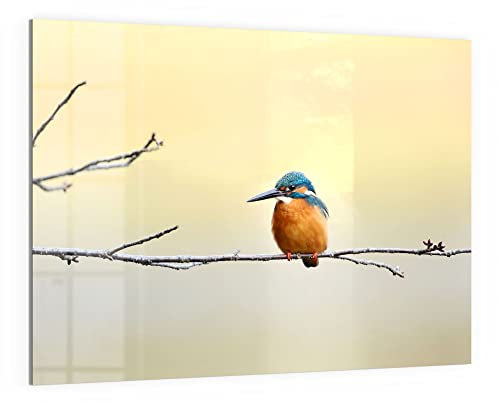 DEQORI Glas-Magnettafel | 120x90 cm groß | Motiv Königsfischer auf Zweig | Memo-Board aus Glas | Magnetboard inkl. Magnete, Stift & Tuch für Küche & Büro | Tafel magnetisch & beschreibbar