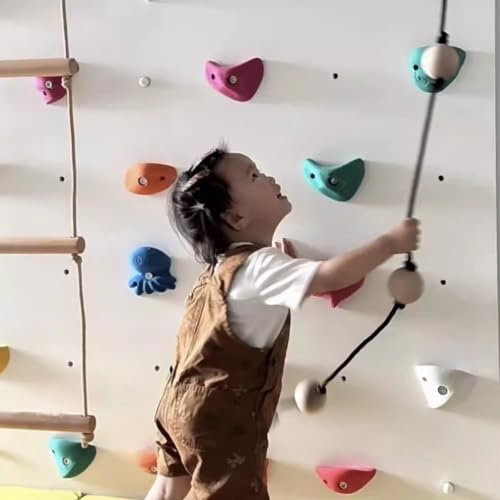 Klettergriffe 5er-Pack Klettergriffe für Den Kinderspielplatz, Professioneller Kletterhandgriff, DIY-Kletterwandgriff für Den Innen- und Außenbereich, Zufälliger Farbstil(Size:5pcs-Plank installation)