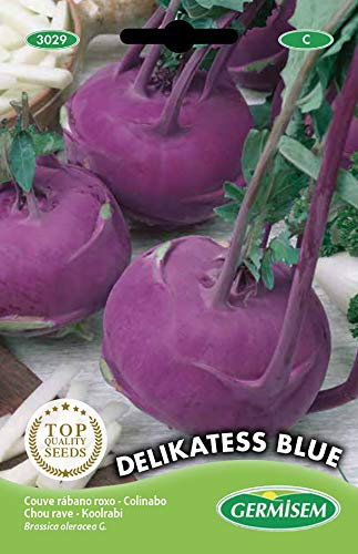 Germisem graines Chou rave DELIKATESS BLUE