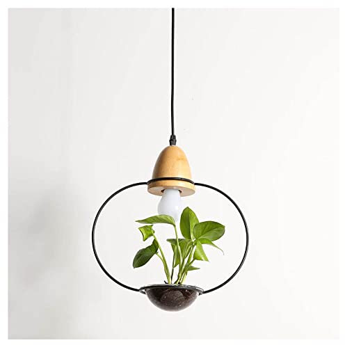 Modern Minimalist Glass Pendant Light Plants Decoration Ceiling Lighting Metal Cage Hanging Light Fittings E27 Base Wooden Wrought Iron Restaurant Cafe Bar Flower Shop Balcony Potted Chandelier,C