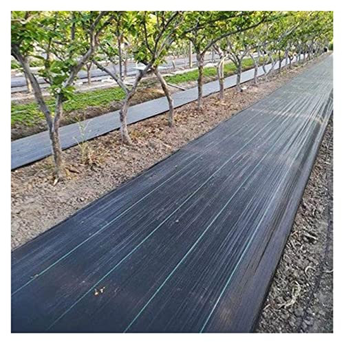 Malla Antihierbas 60cm de ancho barrera de malezas, Tela de barrera de malezas para paisaje de arboles de huerta, 10m-200m de largo Tarea pesada Estera de jardinería de bloques de malezas, Negro